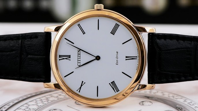 Citizen Eco-Drive AR1113-12B Preowned Watch